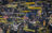 My Photo of Fenerbahce Fans Featured on Vamo Futebol