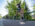 Eskisehir Half Marathon