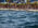 2025 Europe & Asia Triathlon Championships